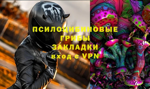 мдпв Армянск