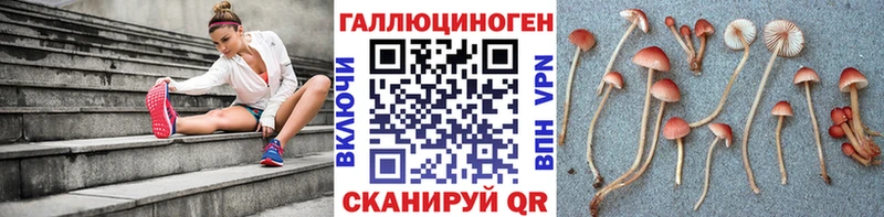 Галлюциногенные грибы MAGIC MUSHROOMS  как найти наркотики  Николаевск 